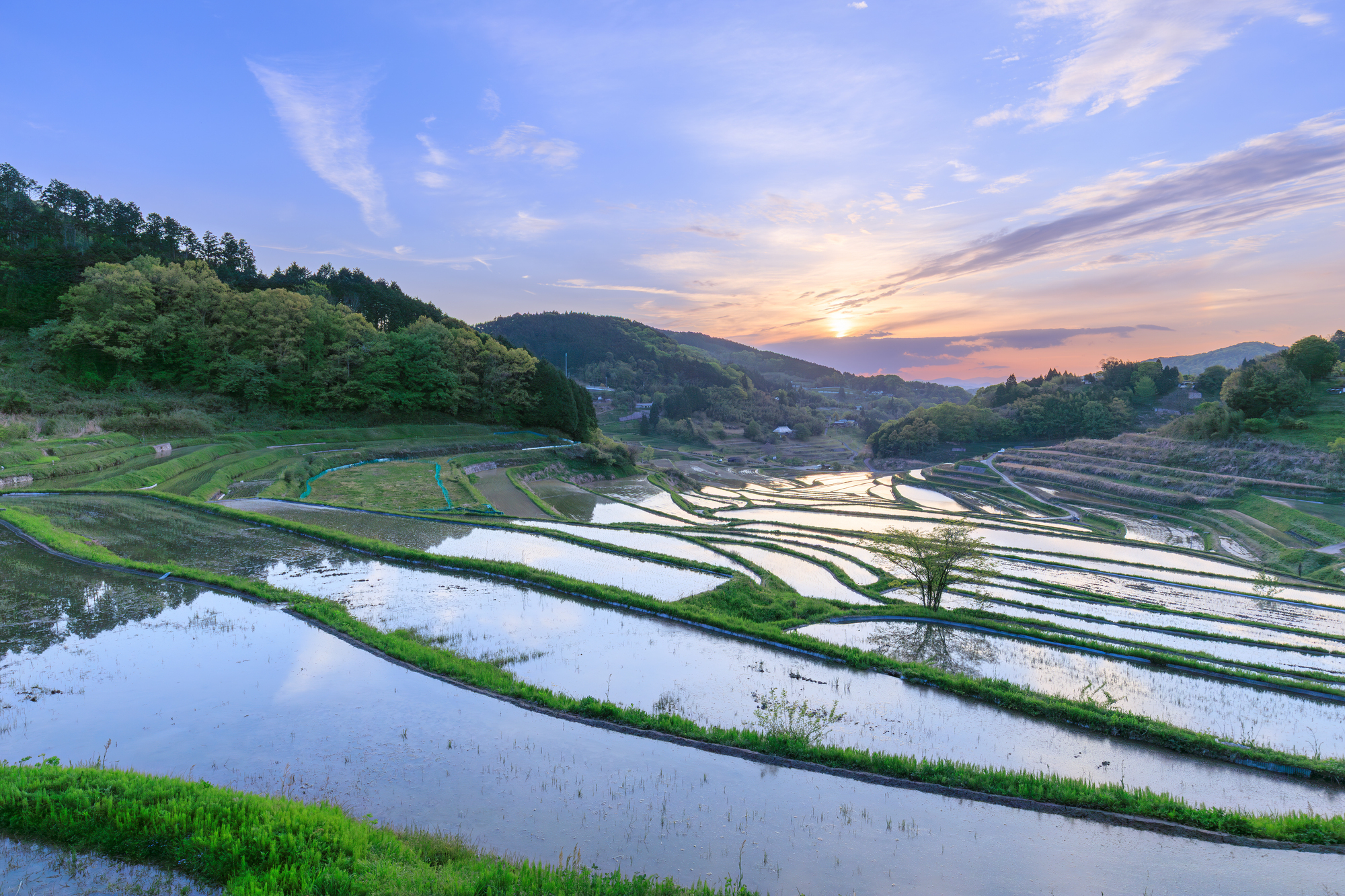 岡山県で農機具を売却する時に気を付けるべきポイント