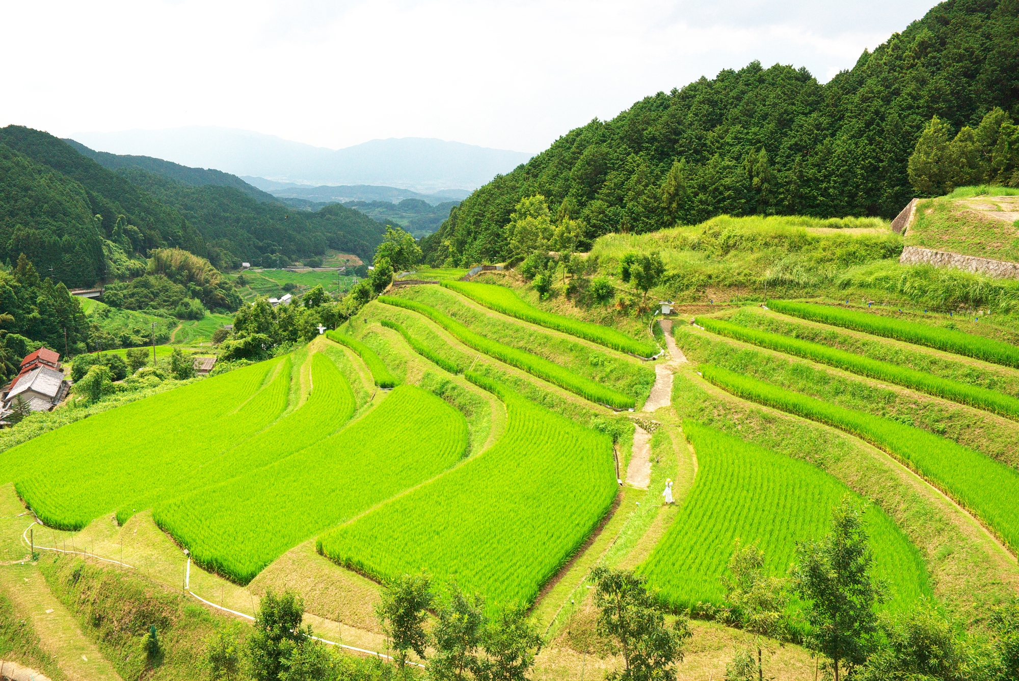 奈良県の農機具買取業者｜奈良県で農機具を高値で売却する方法とは